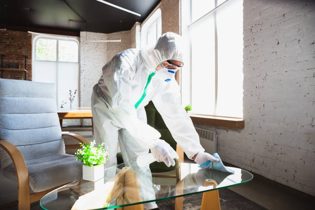 Why You Should Choose Our Mold Remediation Services in Greentown, IN